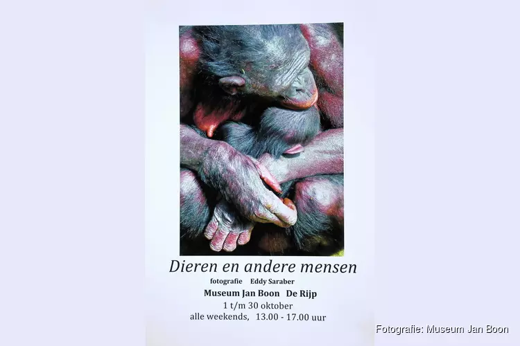 Expositie Eddy Saraber in Museum Jan Boon