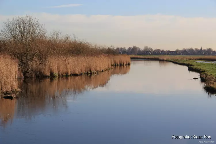 Bekijk de wintergasten van de Eilandspolder vanuit een fluisterboot