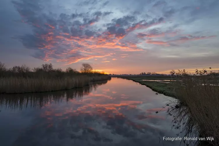 Vaarexcursie voor vroege vogels door de Eilandspolder 7 mei