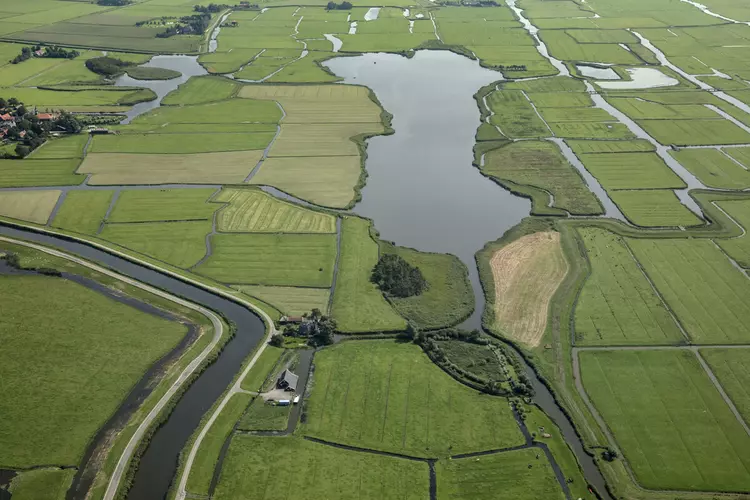 Vaartocht naar bijzondere vogels in de Eilandspolder