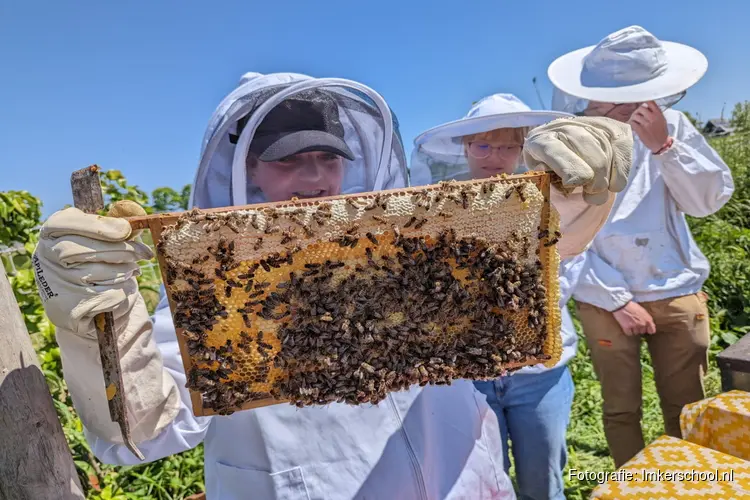 Op bezoek bij de Imkerschool/Imkerij Florensia op de natuurwijngaard van Oterleek!