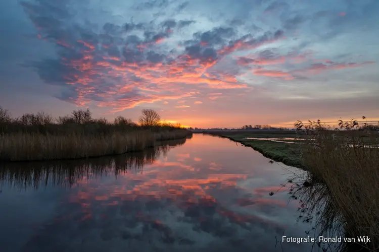 Avond vaartocht door de Eilandspolder tijdens de Nacht van de Vleermuis