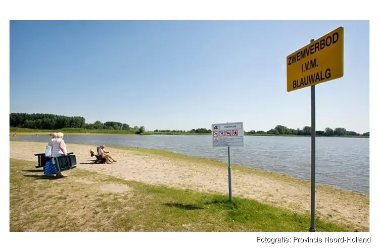 Toename meldingen van blauwalg in Noord-Hollands natuurwater