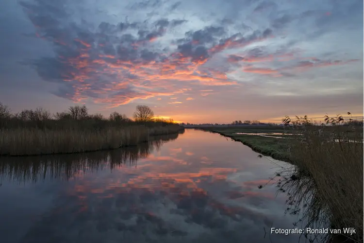 Vaartocht voor 'vroege vogels' door de Eilandspolder