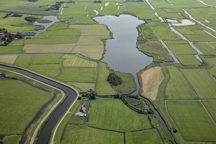 Speciale vaarexcursie: moerasland en trilveen in de Eilandspolder