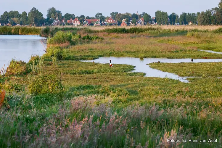 Vaar mee naar een moeraslandje in de Eilandspolder