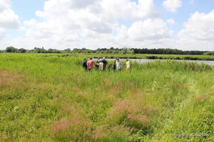 Met de natuurgids op zoek naar eetbare planten in de Eilandspolder