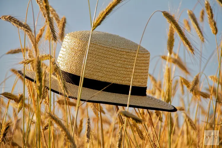 Komende week stabiel en grotendeels droog zomerweer