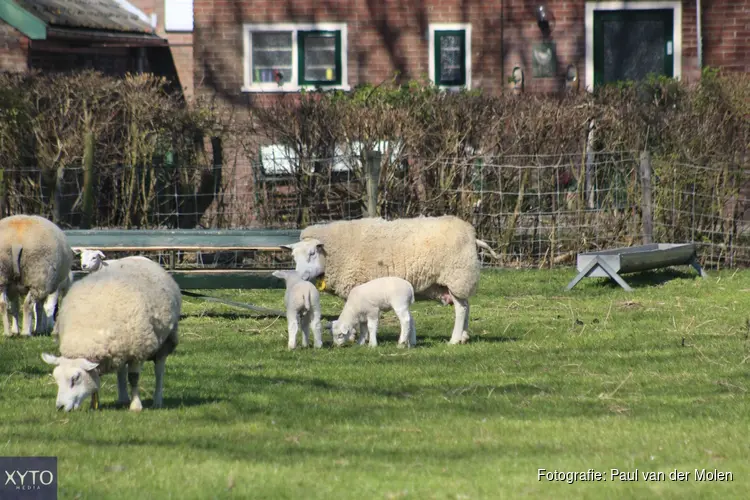 Meteorologische lente is van start, ook komende week zacht