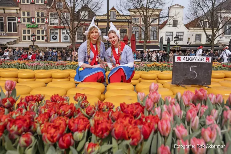Jaarlijkse ‘Tulpenkaasmarkt’ zorgt voor kleurrijk spektakel op het Waagplein