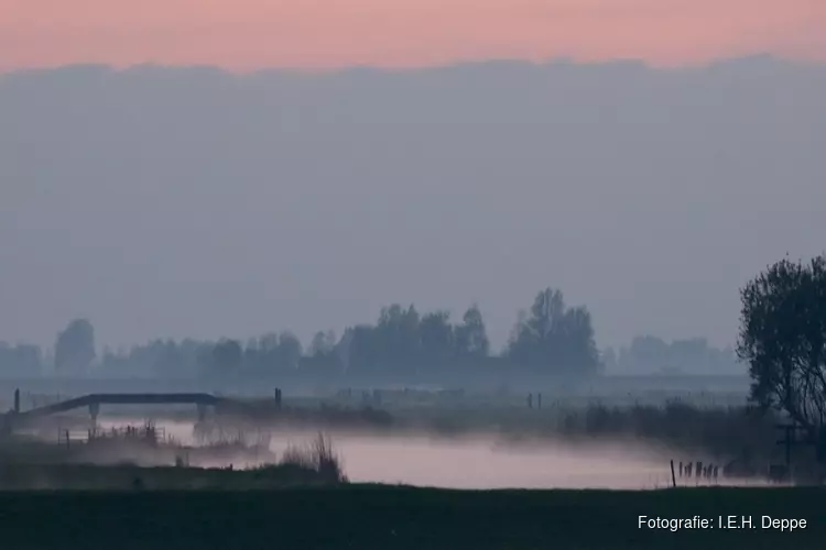 Avondvaartocht, op zoek naar vleermuizen in Eilandspolder