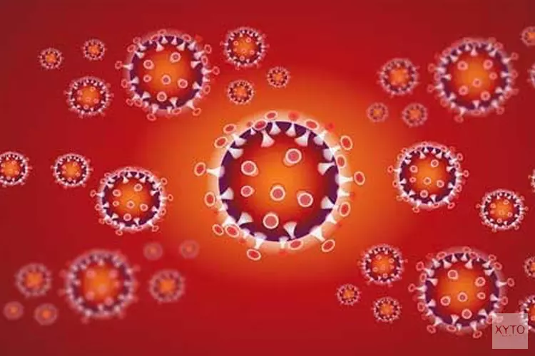 Het coronavirus kan overleven