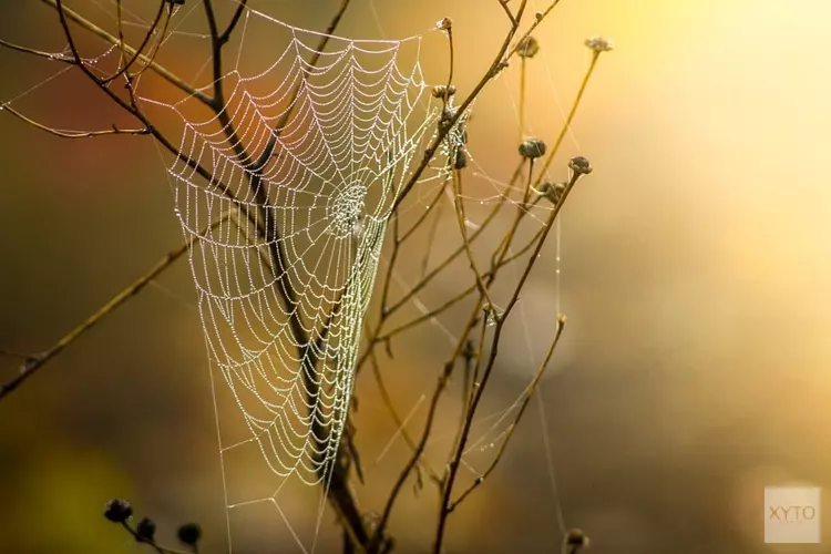 Vanaf woensdag droger herfstweer, maar ook een stuk frisser