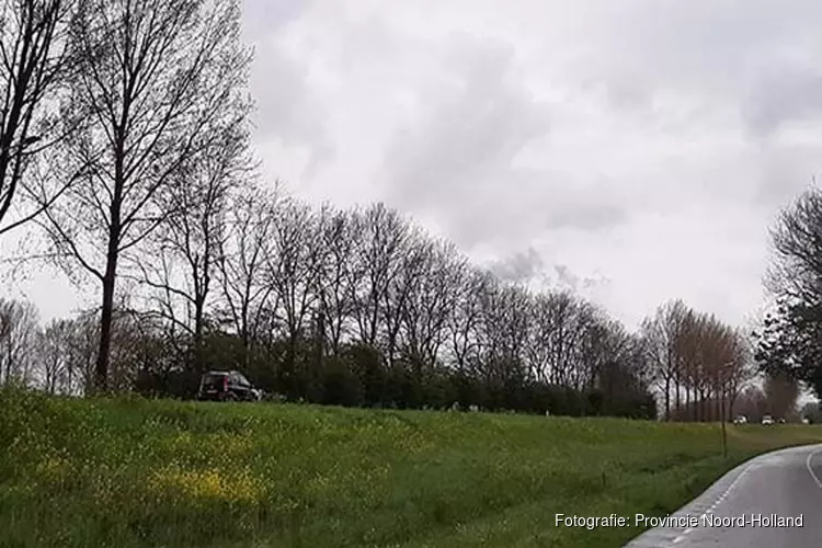 Bomen langs de Westdijk (N244) in Zuidschermer 40 jaar oud en ziek