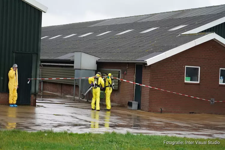 Vogelgriep bij kippenboer Grootschermer