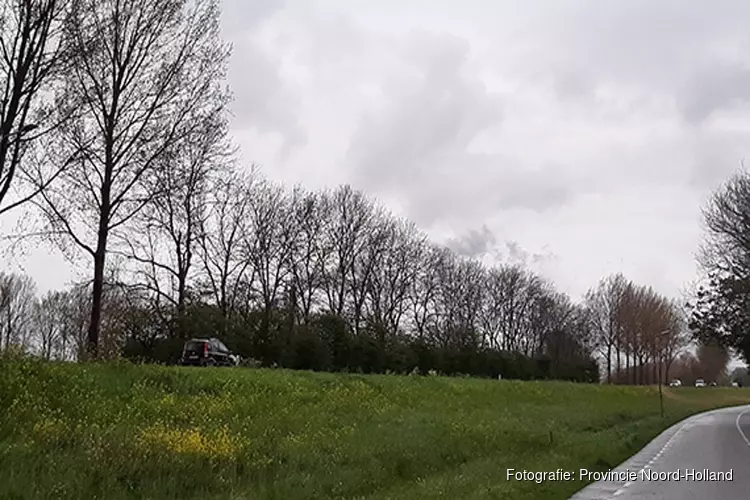 Weekendafsluitingen Westdijk (N244) in Zuidschermer vanwege kap zieke en oude bomen