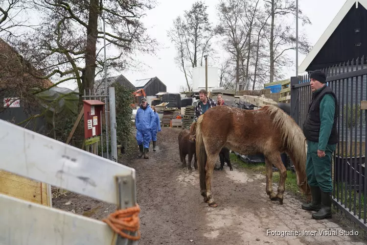Wederom dieren in beslag genomen bij omstreden boerderij in Grootschermer