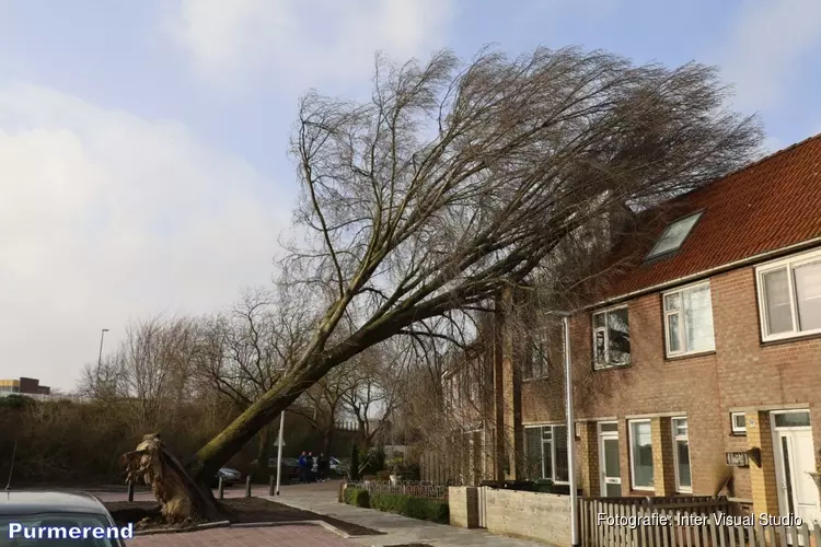 Fotoalbum: Noord-Holland in de greep van storm Eunice