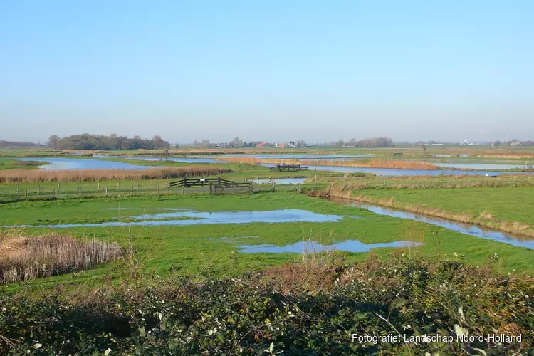 Vaar mee: moeras en trilveen in de Eilandspolder