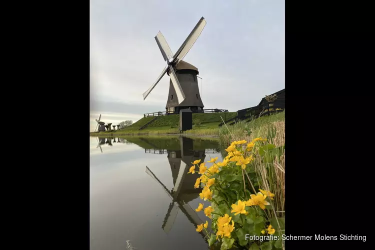 Schermermaaldag, zondag 4 september